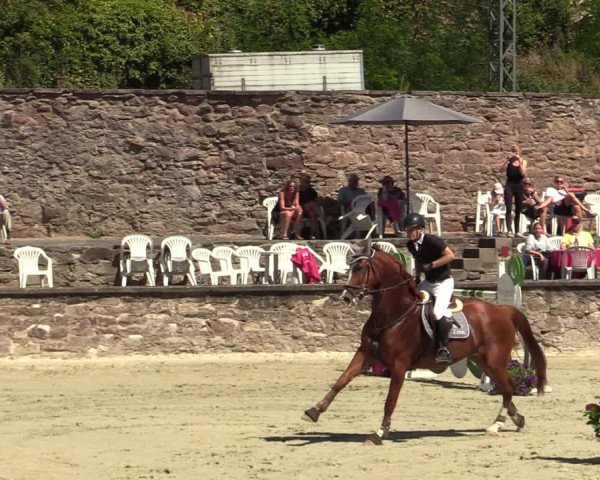Reitturnier Nörten-Hardenberg 2022