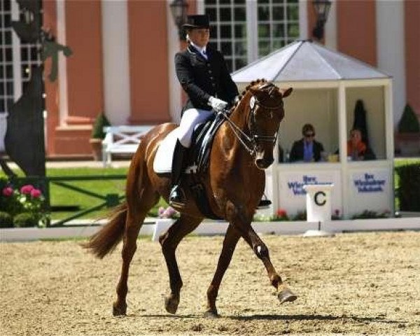 dressage horse Flamenco Girl (Hanoverian, 2003, from Fielmann)