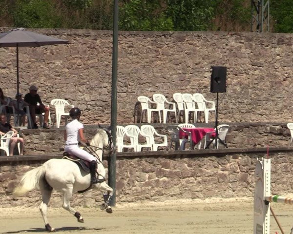 Reitturnier Nörten-Hardenberg 2022