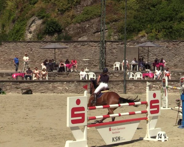 Reitturnier Nörten-Hardenberg 2022