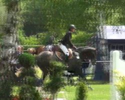 jumper Cavalluccio (Oldenburg show jumper, 2008, from Colman)