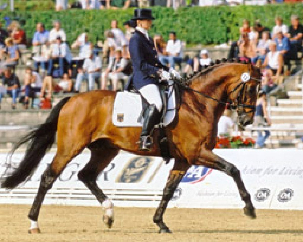 stallion Alassio (Württemberger, 1996, from Alabaster)