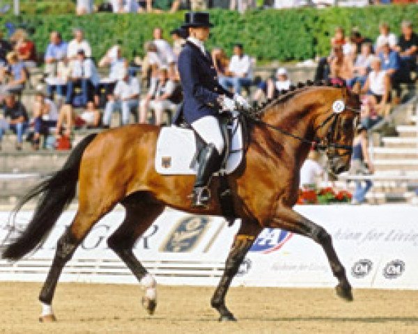 stallion Alassio (Württemberger, 1996, from Alabaster) stallion Alassio (Württemberger, 1996, from Alabaster)