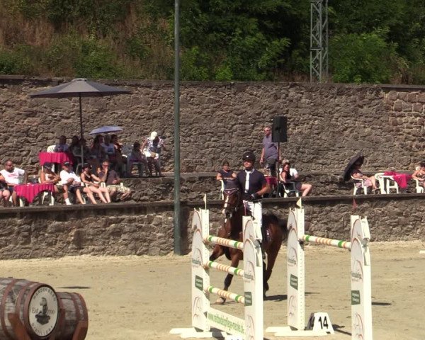 Reitturnier Nörten-Hardenberg 2022