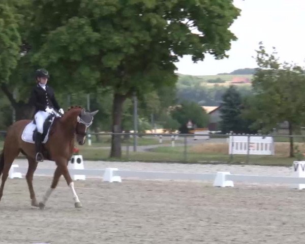 Reitturnier Rot am See- Musdorf 2022