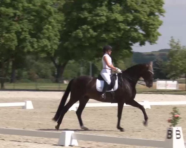 Reitturnier Rot am See- Musdorf 2022