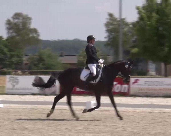 Reitturnier Rot am See- Musdorf 2022