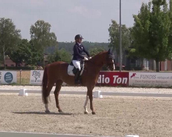 Reitturnier Rot am See- Musdorf 2022