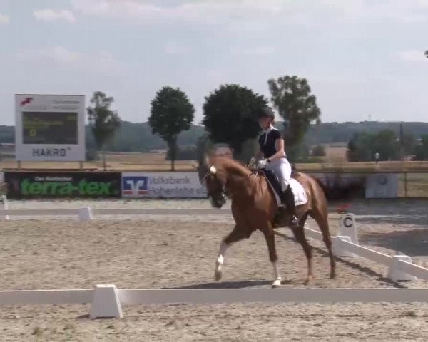 Reitturnier Rot am See- Musdorf 2022