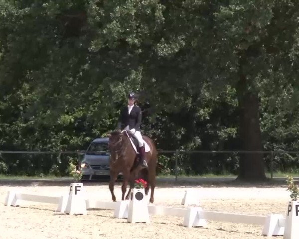 Reitturnier Rot am See- Musdorf 2022