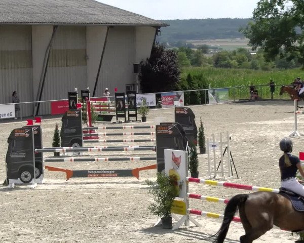 Reitturnier Ehningen 2022