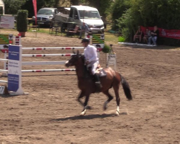 Reitturnier Halle-Seeben 2022