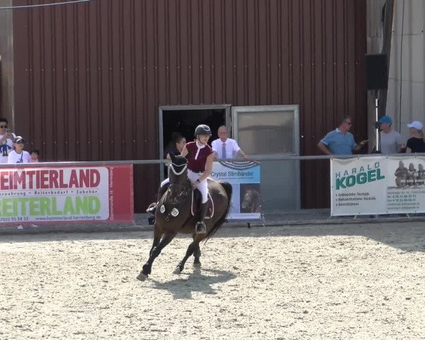 Reitturnier Ehningen 2022
