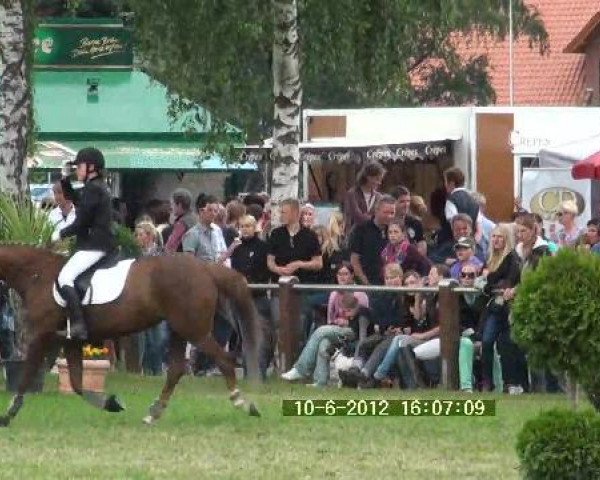 Springpferd Hilayla (Deutsches Reitpony, 2005, von Hightrick) Springpferd Hilayla (Deutsches Reitpony, 2005, von Hightrick)