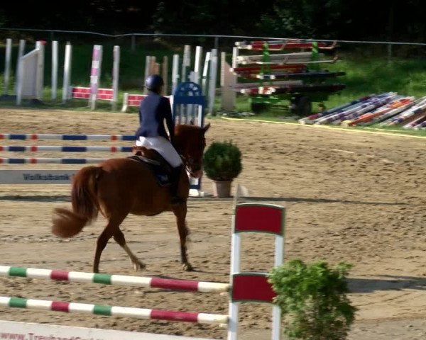 Reitturnier Viersen-Dülken 2022