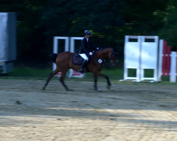 Reitturnier Viersen-Dülken 2022