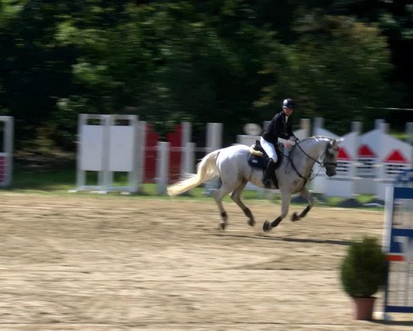Reitturnier Viersen-Dülken 2022