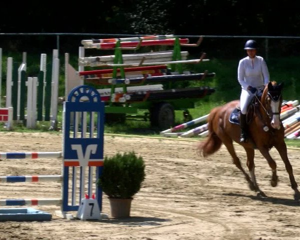 Reitturnier Viersen-Dülken 2022