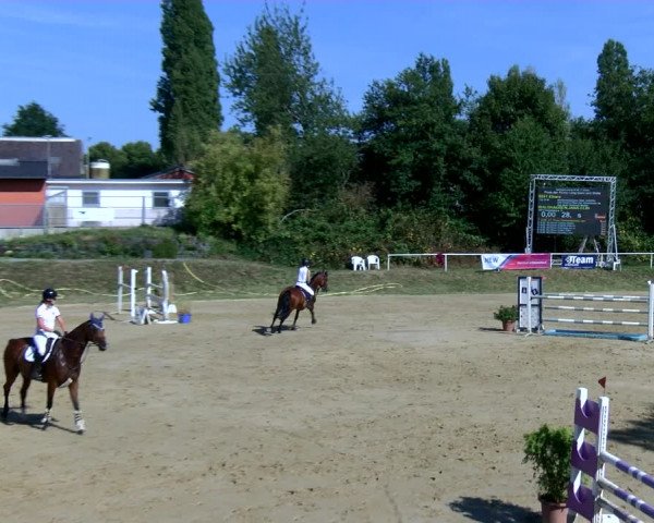 Reitturnier Viersen-Dülken 2022