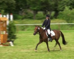 Zuchtstute Vicky (Schweres Warmblut, 1989, von Enzian 1424)