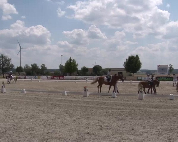 Reitturnier Rot am See- Musdorf 2022