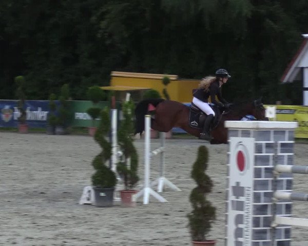 Reitturnier Vlotho-Exter 2022