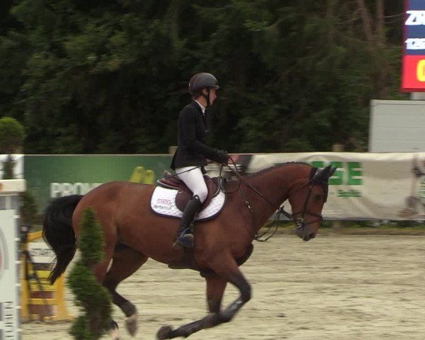 Reitturnier Vlotho-Exter 2022