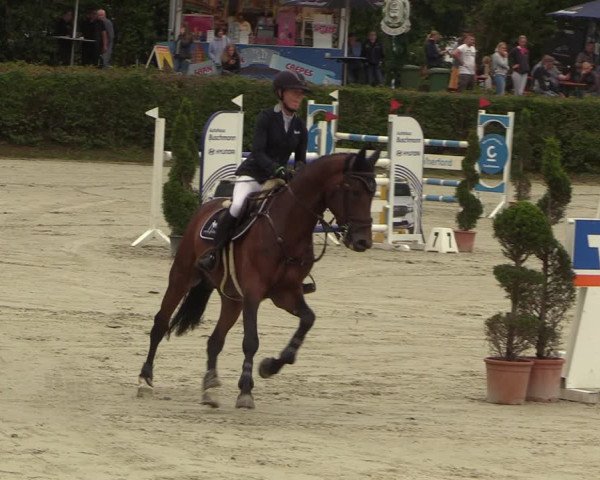 Reitturnier Vlotho-Exter 2022
