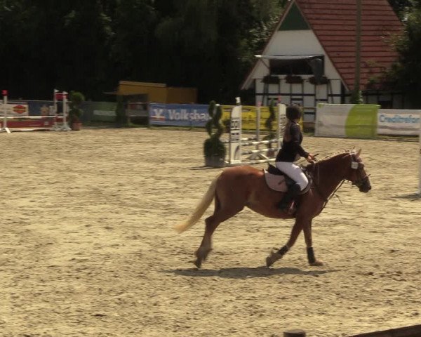Reitturnier Vlotho-Exter 2022