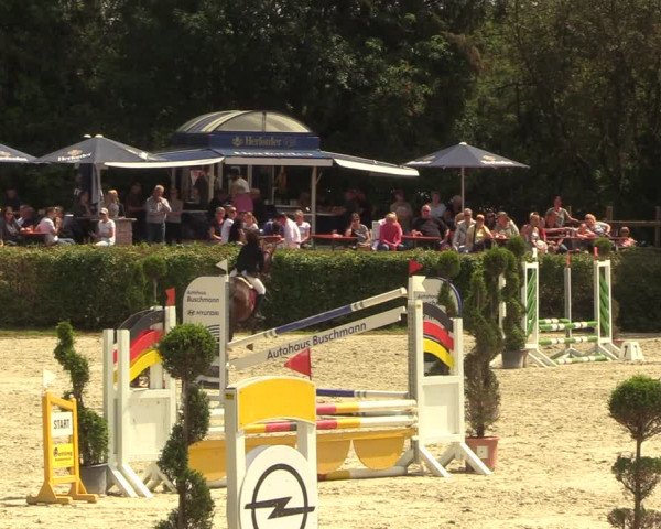 Reitturnier Vlotho-Exter 2022