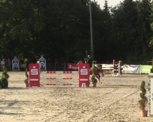 Reitturnier Vlotho-Exter 2022