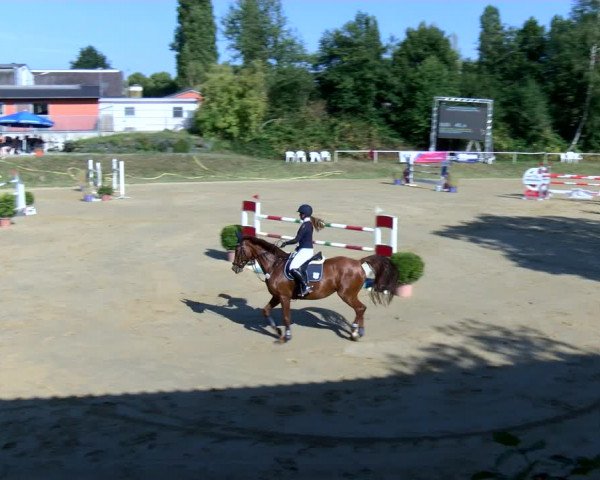 Reitturnier Viersen-Dülken 2022