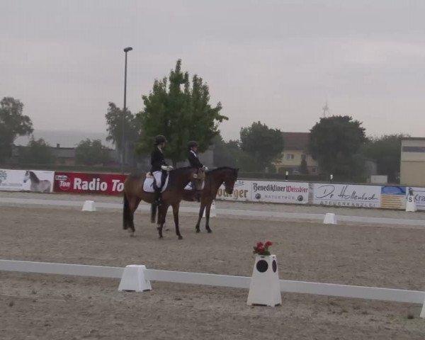 Reitturnier Rot am See- Musdorf 2022