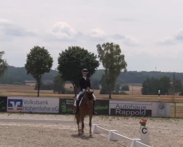 Reitturnier Rot am See- Musdorf 2022