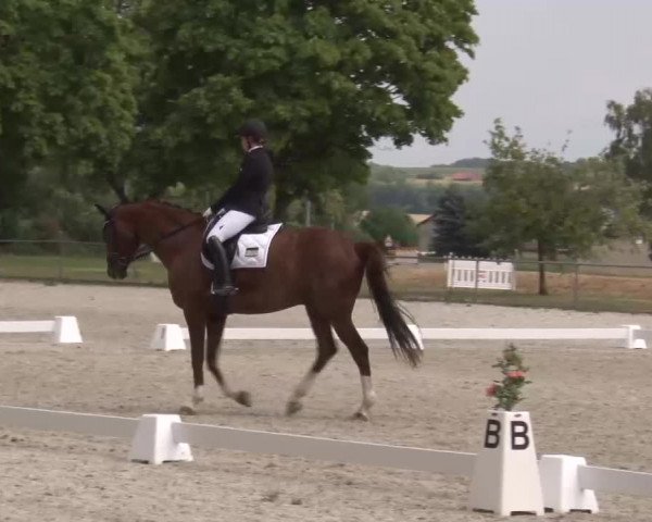 Reitturnier Rot am See- Musdorf 2022