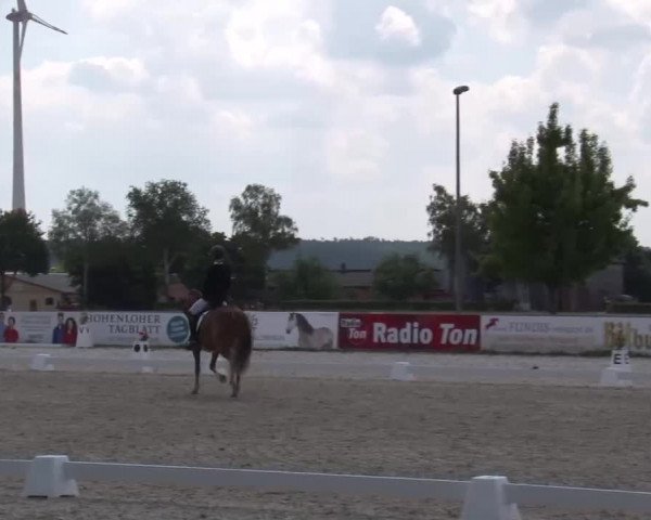 Reitturnier Rot am See- Musdorf 2022