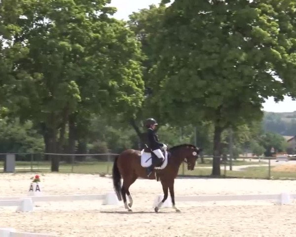 Reitturnier Rot am See- Musdorf 2022