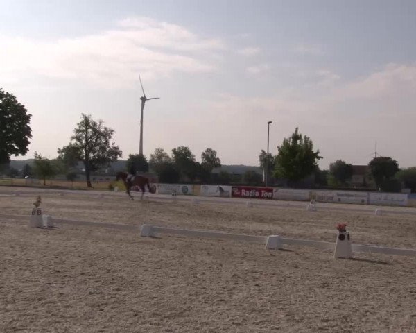 Reitturnier Rot am See- Musdorf 2022