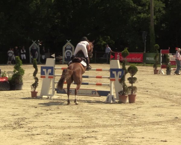 Reitturnier Vlotho-Exter 2022
