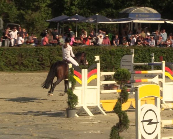 Reitturnier Vlotho-Exter 2022