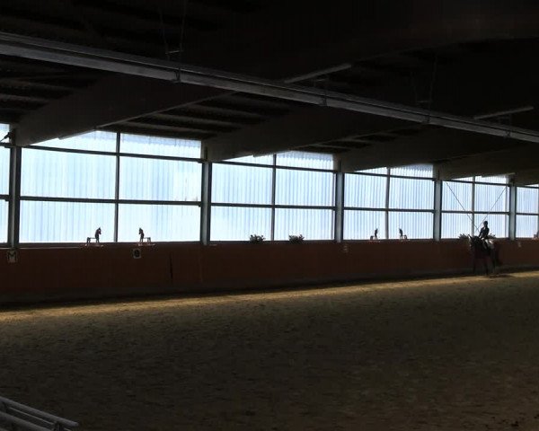 Reitturnier Herbern 2022