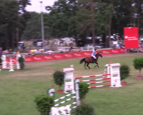 Reitturnier Cottbus-Sielow 2022