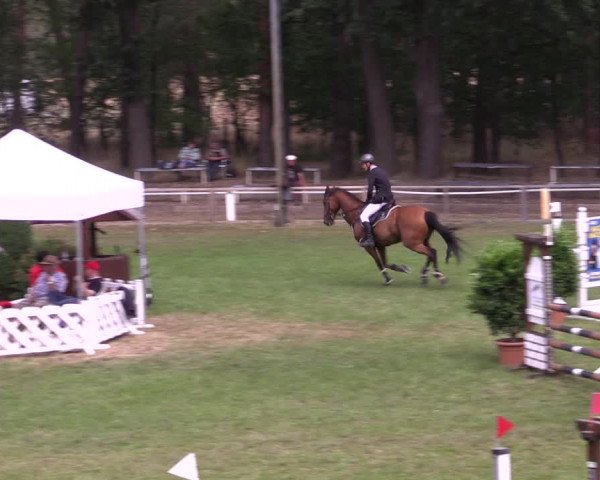 Reitturnier Cottbus-Sielow 2022