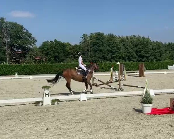 Video von Bailey's Colada