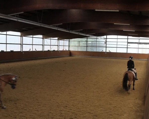 Reitturnier Herbern 2022