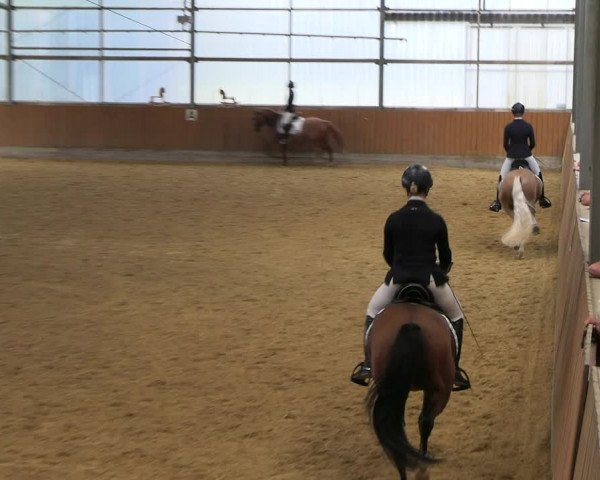 Reitturnier Herbern 2022