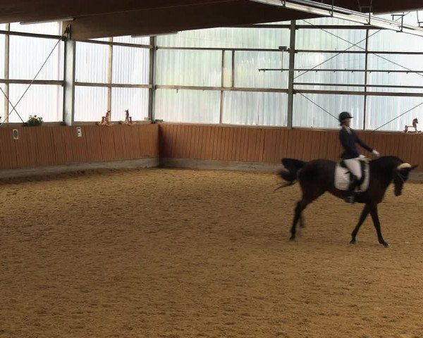 Reitturnier Herbern 2022