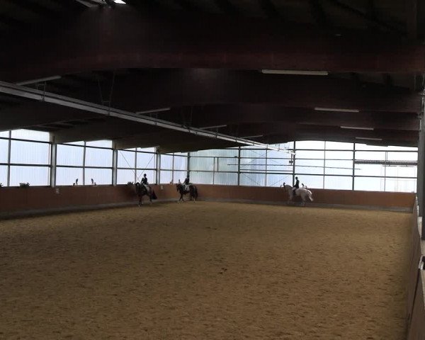 Reitturnier Herbern 2022