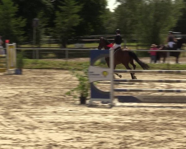 Reitturnier Herbern 2022