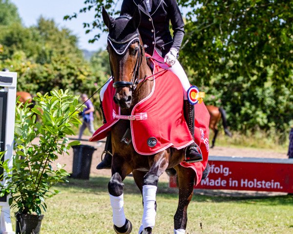 Dressurpferd Valentina 136 (Oldenburger, 2015, von Zatchmo)